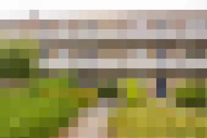 Husselmansgoed 70 Nijkerk thumbnail 4