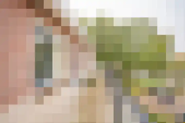 Husselmansgoed 70 Nijkerk thumbnail 8