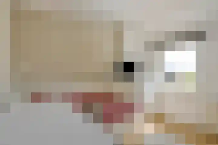 Hussenbergstraat 24 Geulle thumbnail 19