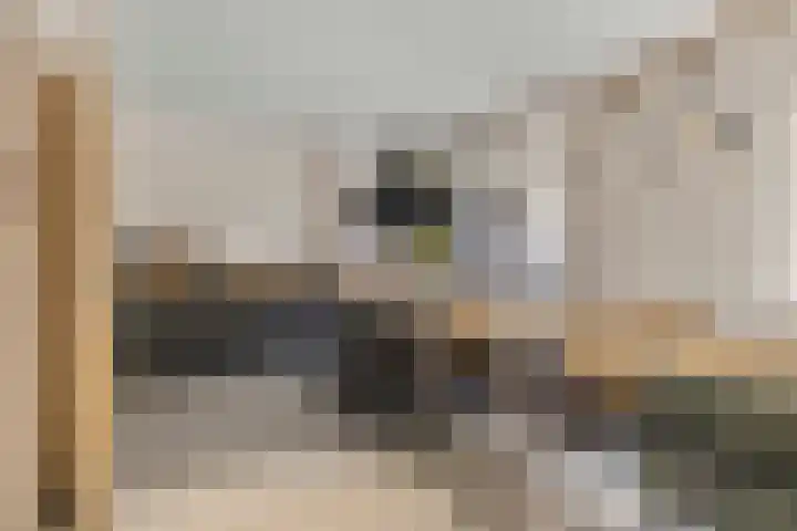 Hussenbergstraat 24 Geulle thumbnail 9