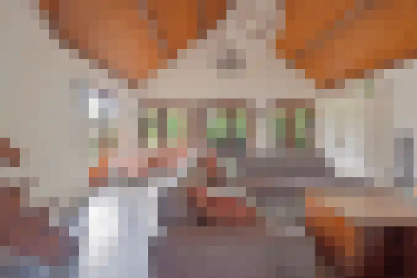 Hussenbergstraat 25 Geulle thumbnail 16