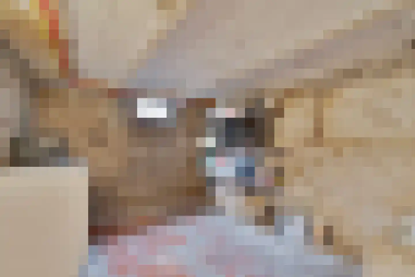 Hussenbergstraat 25 Geulle thumbnail 30