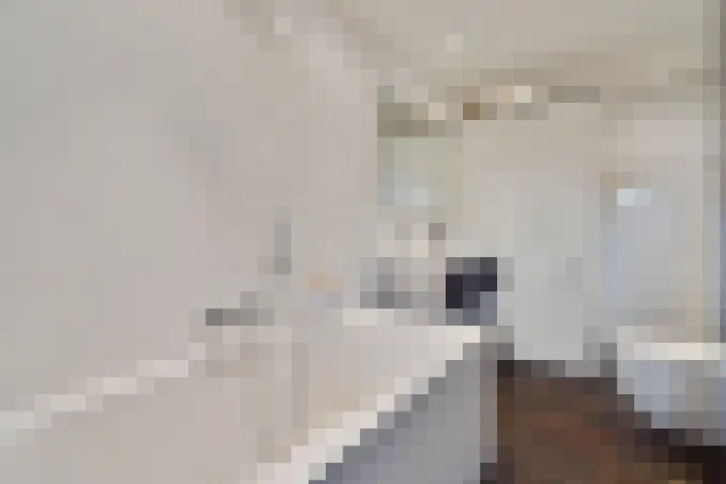 Hussenbergstraat 25 Geulle thumbnail 39