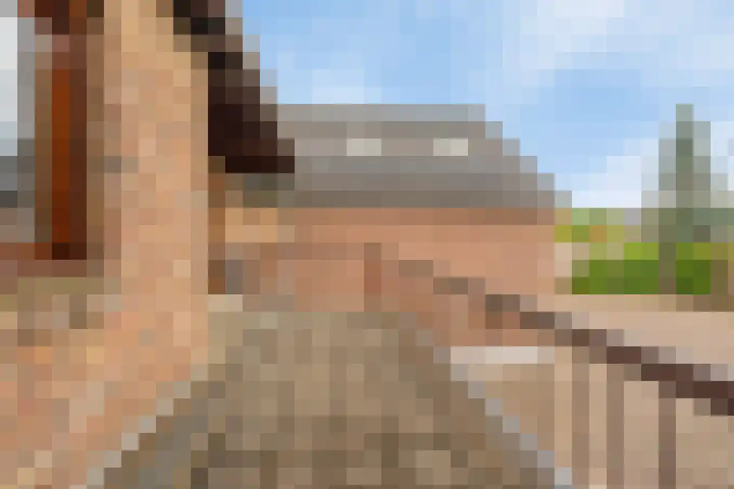 Hussenbergstraat 25 Geulle thumbnail 44