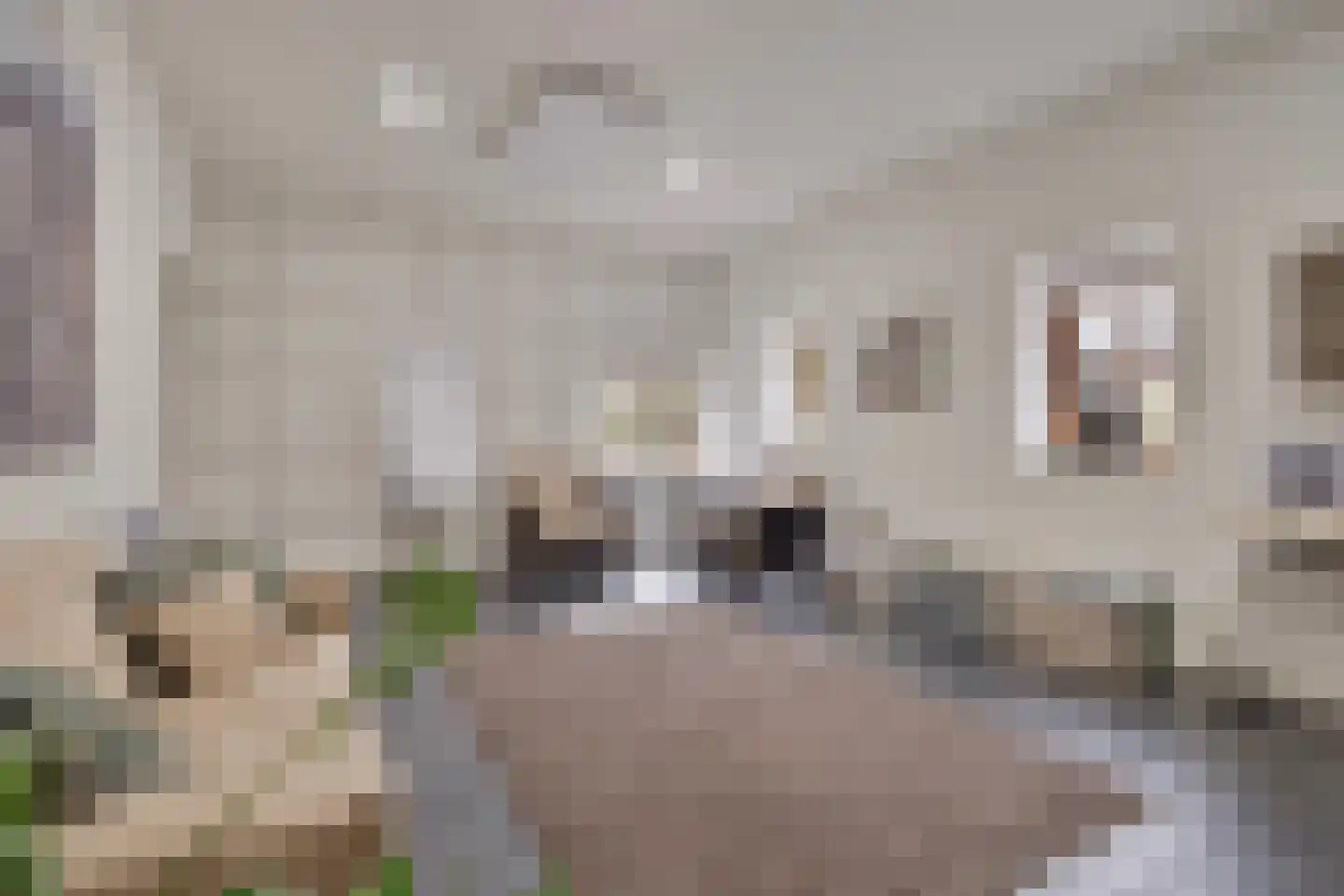 Hussenbergstraat 25 Geulle thumbnail 51