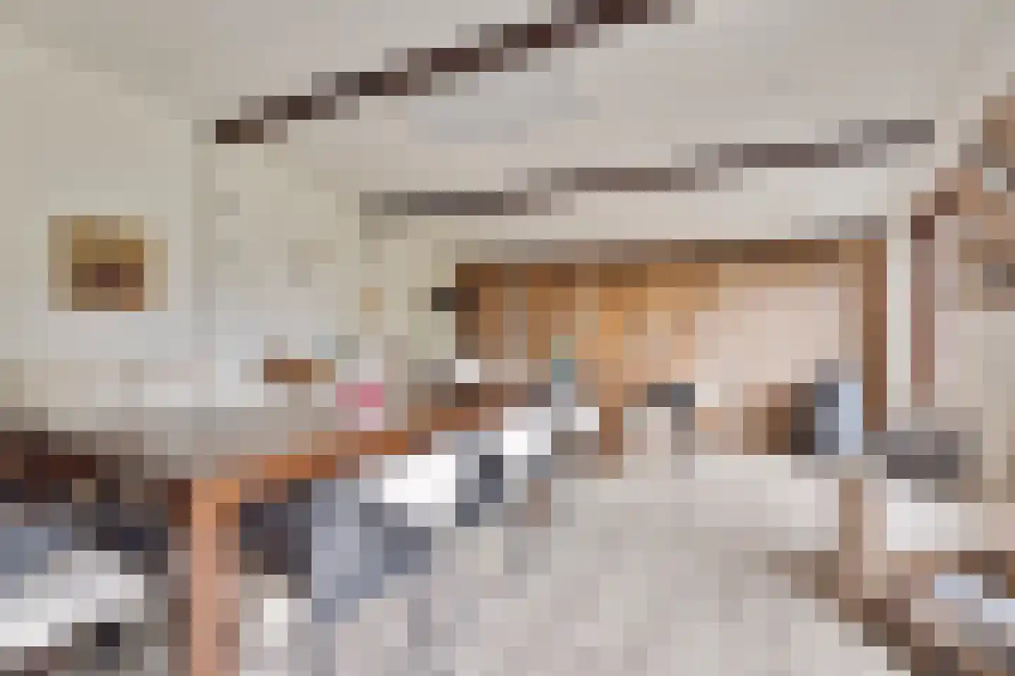 Hussenbergstraat 25 Geulle thumbnail 60