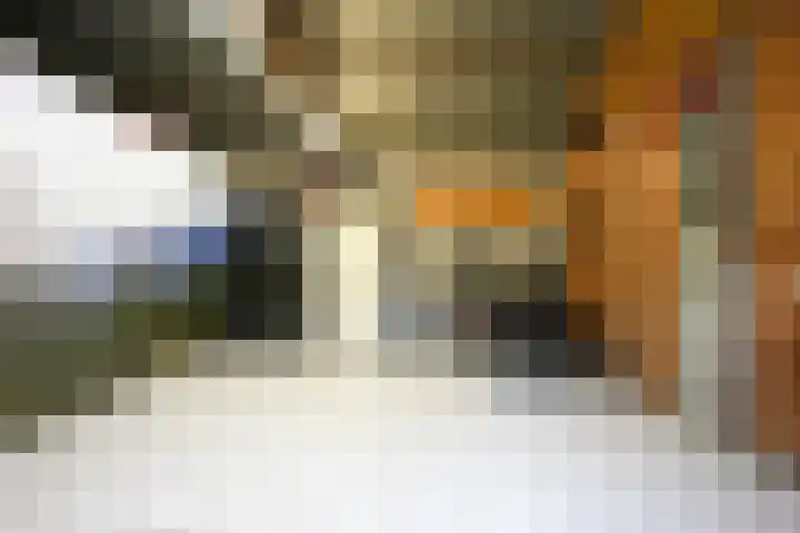Hussenbergstraat 26 Geulle thumbnail 39