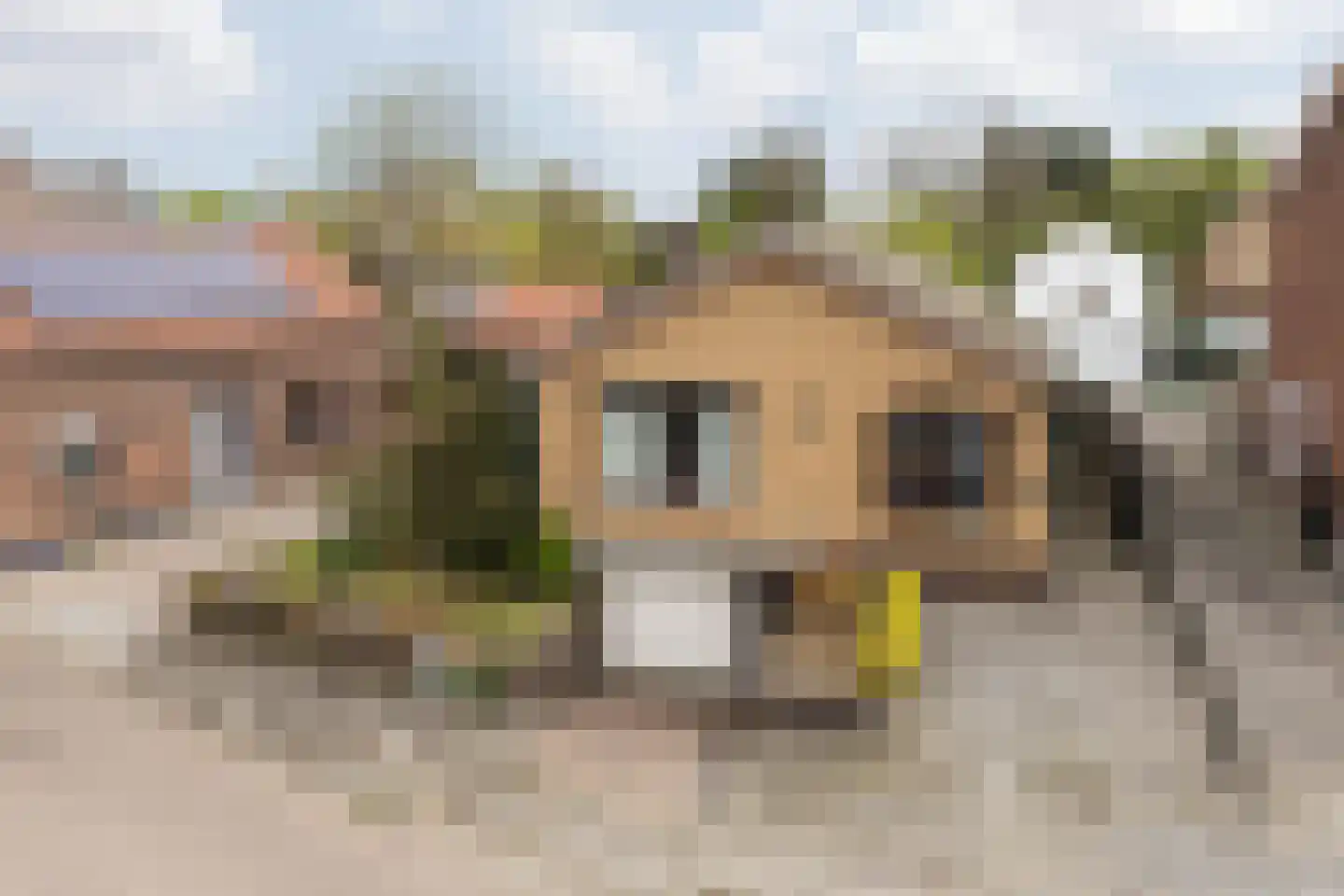 Hussenbergstraat 29 a Geulle thumbnail 6