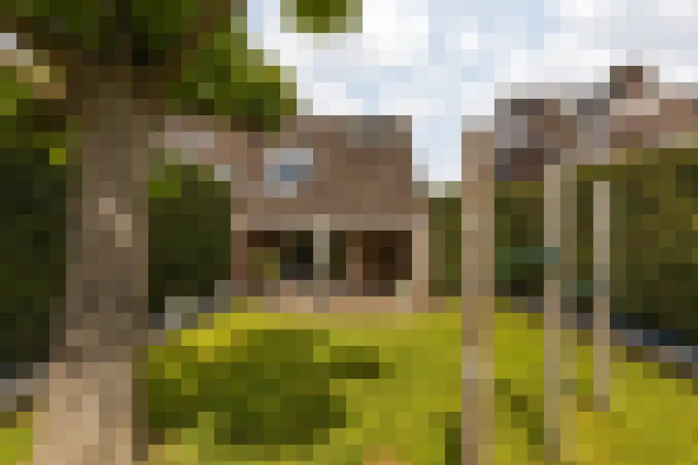 Hussenbergstraat 8 a Geulle thumbnail 64