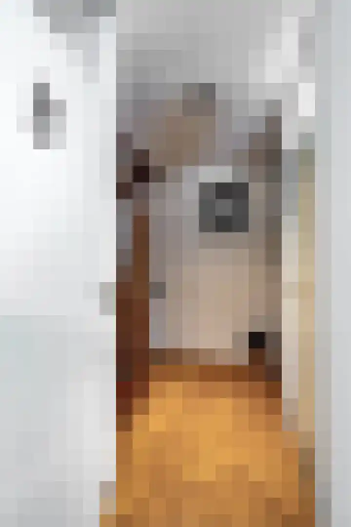 Hussenbergstraat 8 Geulle thumbnail 33