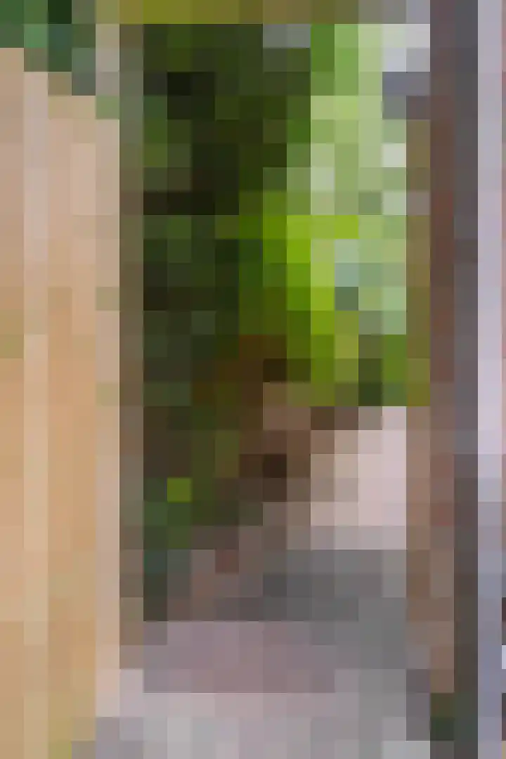 Hussenbergstraat 8 Geulle thumbnail 37
