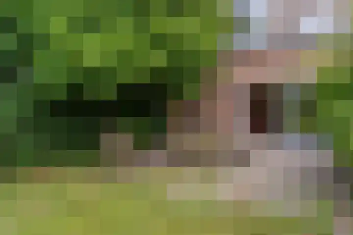 Hussenbergstraat 8 Geulle thumbnail 38