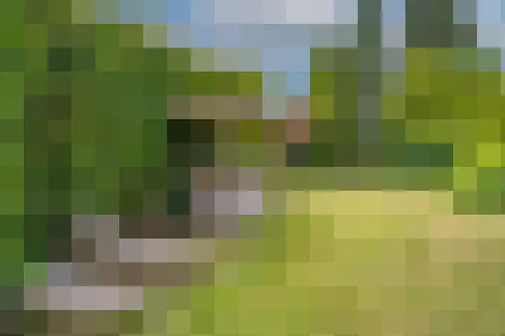 Hussenbergstraat 8 Geulle thumbnail 40