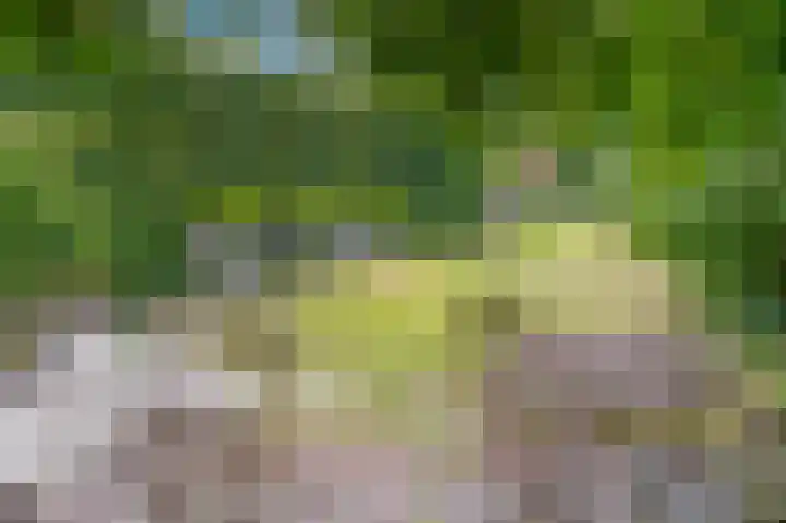 Hussenbergstraat 8 Geulle thumbnail 41