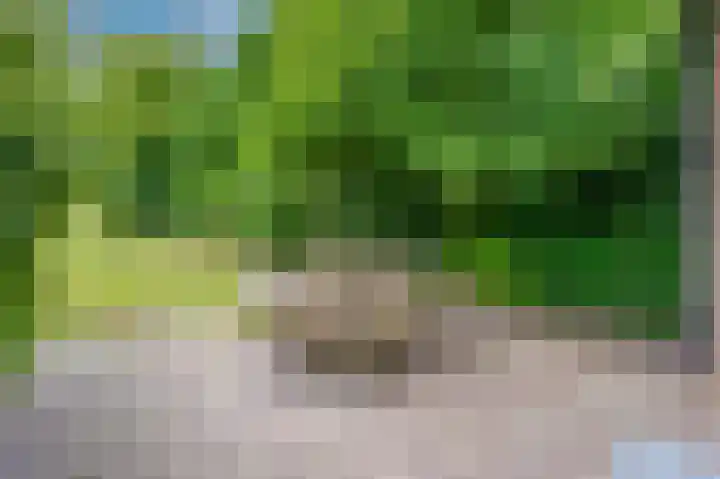 Hussenbergstraat 8 Geulle thumbnail 42