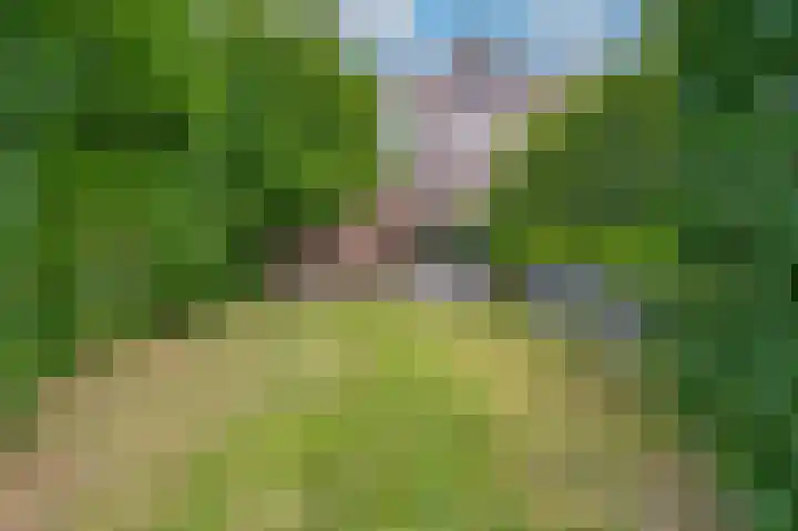 Hussenbergstraat 8 Geulle thumbnail 43