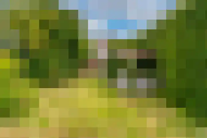 Hussenbergstraat 8 Geulle thumbnail 44