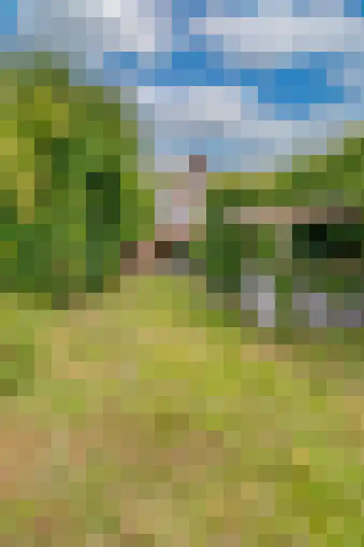 Hussenbergstraat 8 Geulle thumbnail 45