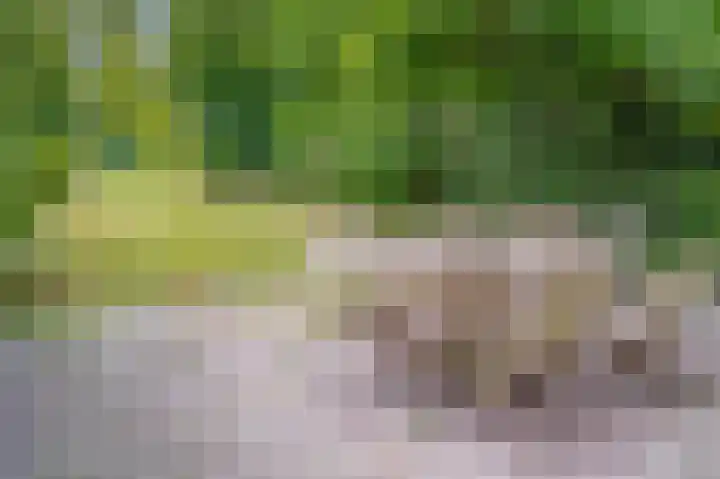 Hussenbergstraat 8 Geulle thumbnail 46