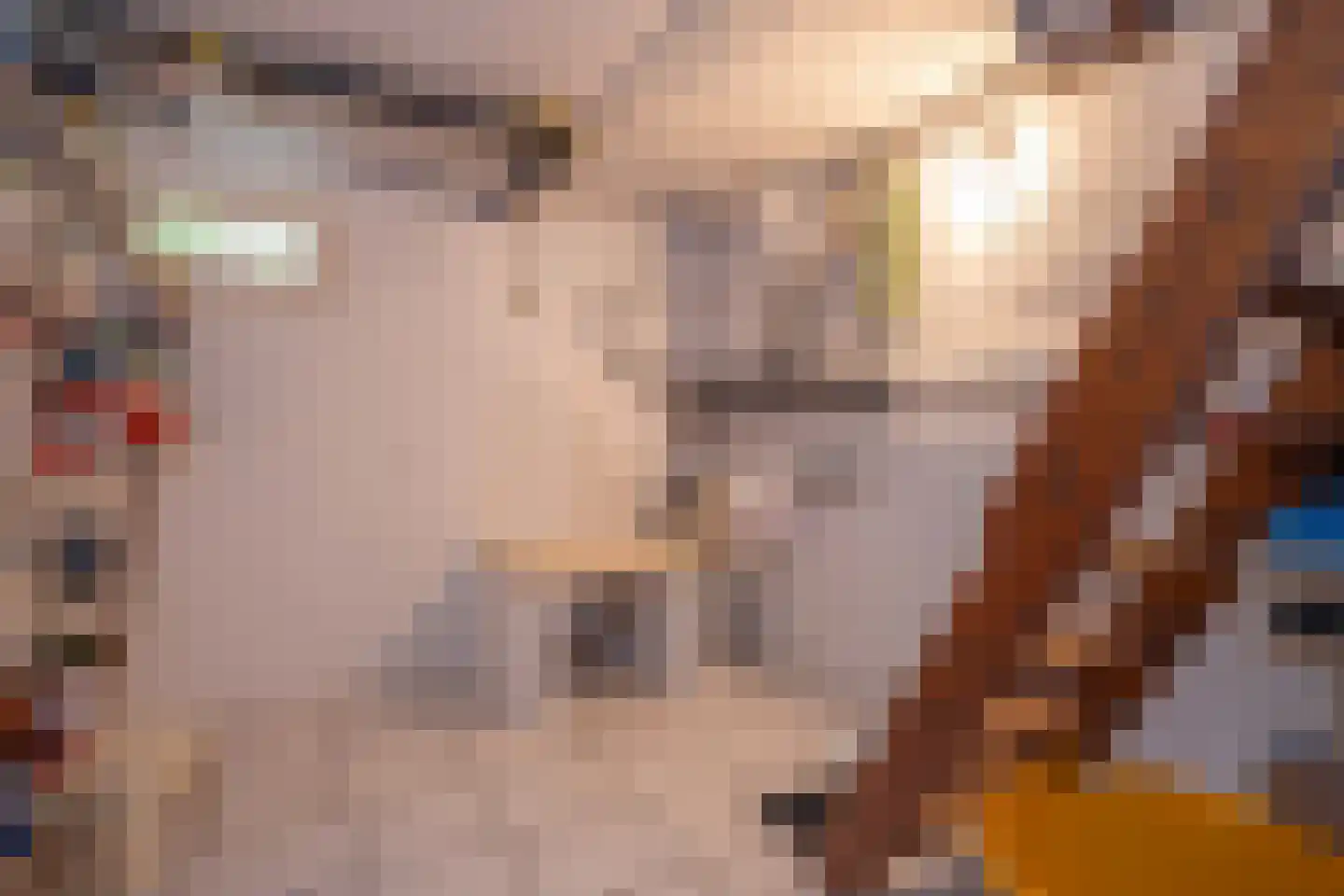 Hustinxstraat 7 Geleen thumbnail 26