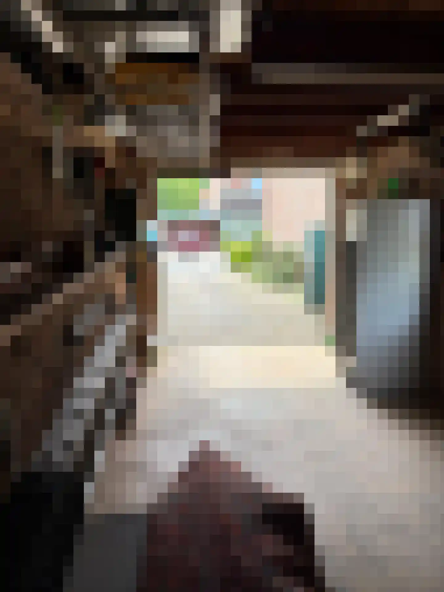 Hustinxstraat 7 Geleen thumbnail 33