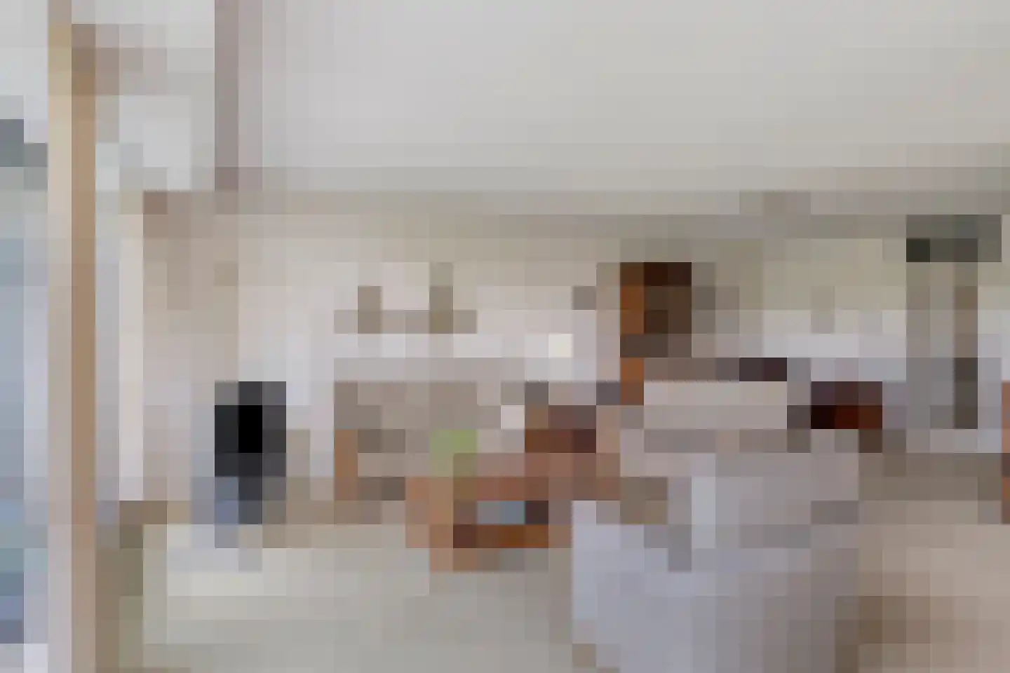 Huszárlaan 25 Wageningen thumbnail 13