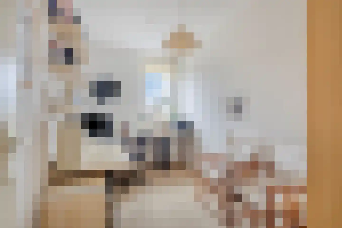 Huszárlaan 25 Wageningen thumbnail 33