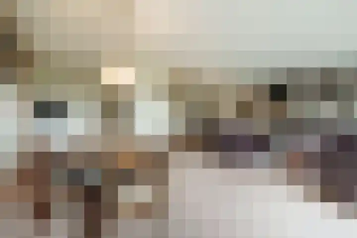 Huszárlaan 31 Wageningen thumbnail 13