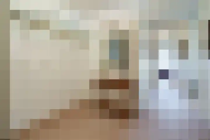 Huszárlaan 31 Wageningen thumbnail 21
