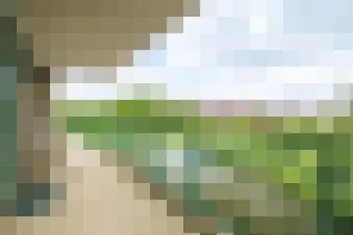 Huszárlaan 31 Wageningen thumbnail 23