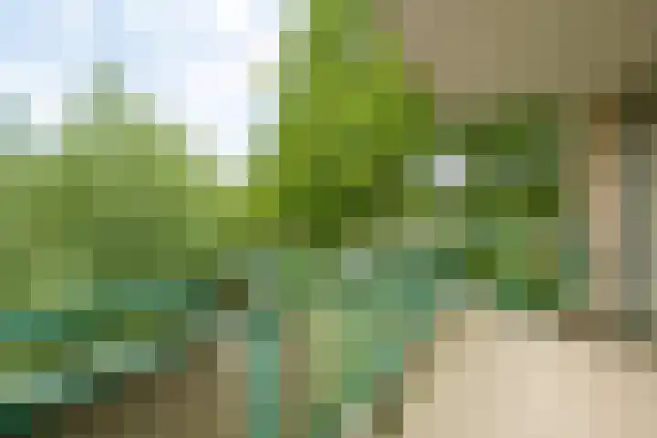 Huszárlaan 31 Wageningen thumbnail 24