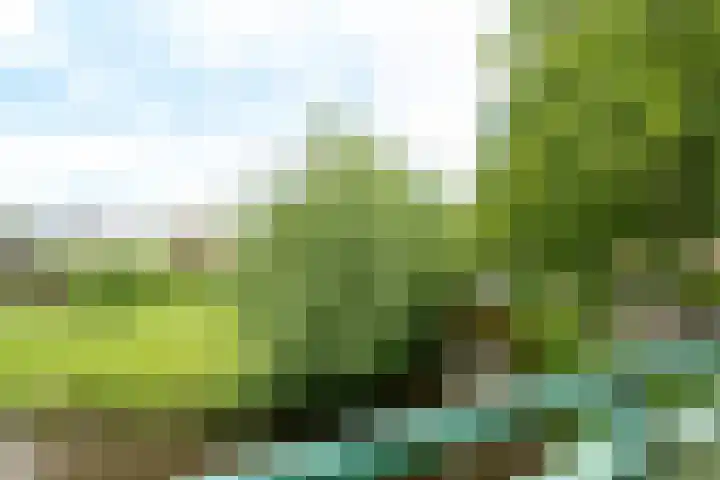 Huszárlaan 31 Wageningen thumbnail 25