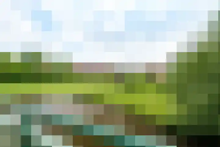 Huszárlaan 31 Wageningen thumbnail 26