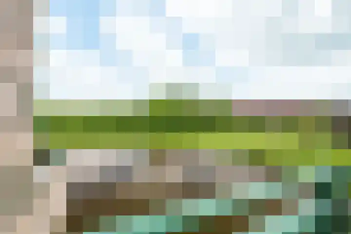 Huszárlaan 31 Wageningen thumbnail 27