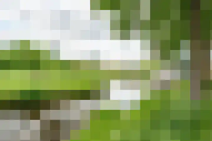Huszárlaan 31 Wageningen thumbnail 31
