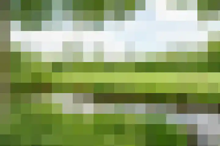 Huszárlaan 31 Wageningen thumbnail 32