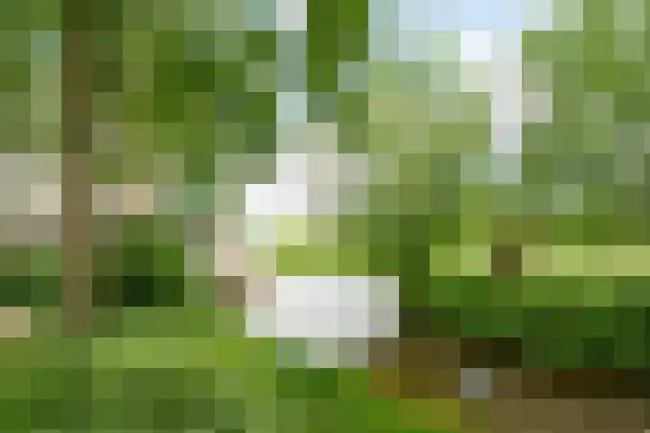 Huszárlaan 31 Wageningen thumbnail 4