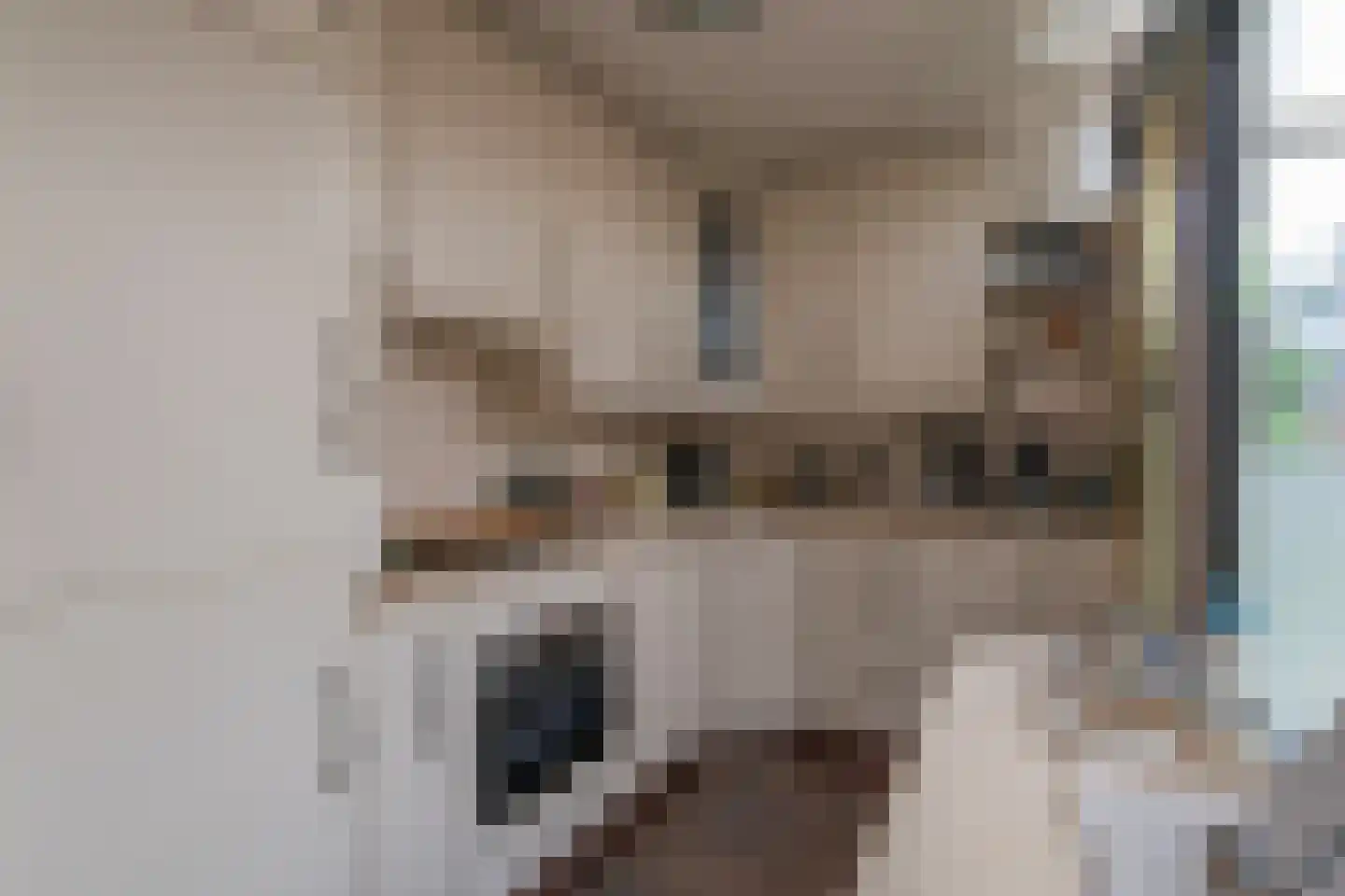 Hutdijk 21 Waalre thumbnail 10