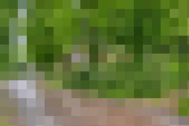 Hutdijk 54 Waalre thumbnail 4