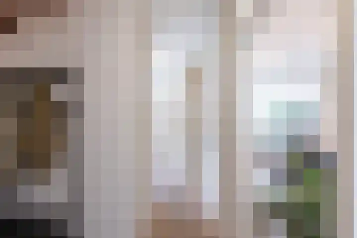 Hutdijk 7 Waalre thumbnail 12