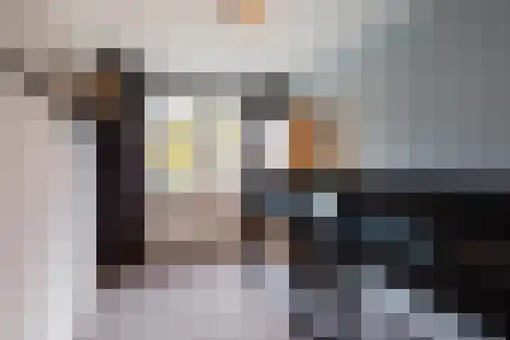Hutdijk 7 Waalre thumbnail 20