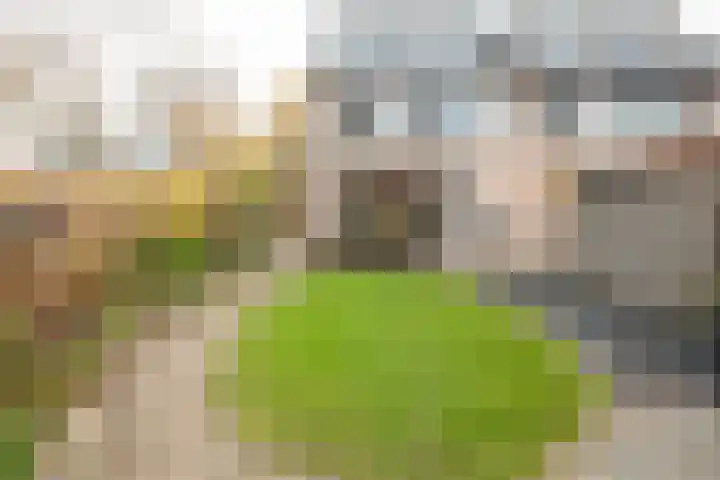 Hutdijk 7 Waalre thumbnail 27