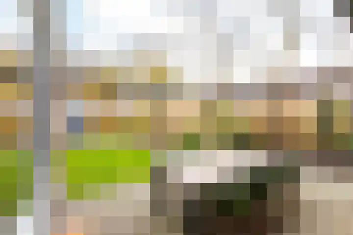 Hutdijk 7 Waalre thumbnail 28
