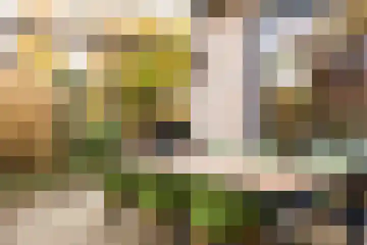 Hutdijk 7 Waalre thumbnail 29