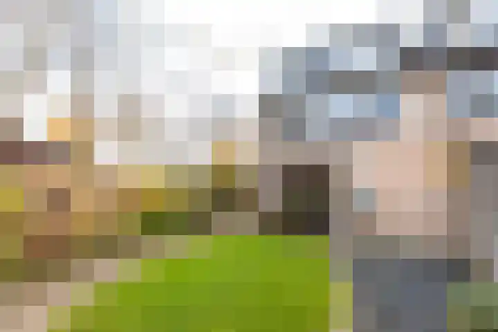 Hutdijk 7 Waalre thumbnail 30