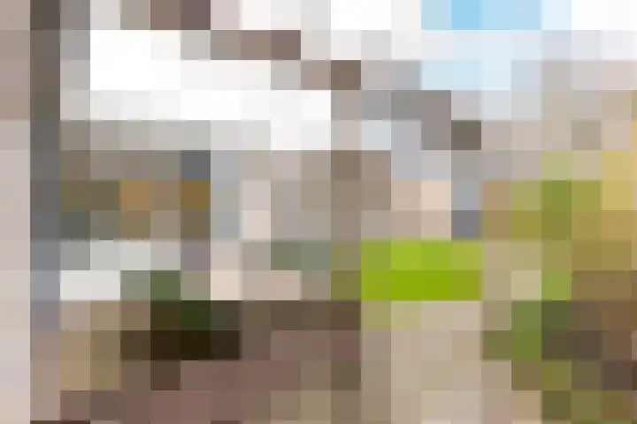 Hutdijk 7 Waalre thumbnail 32