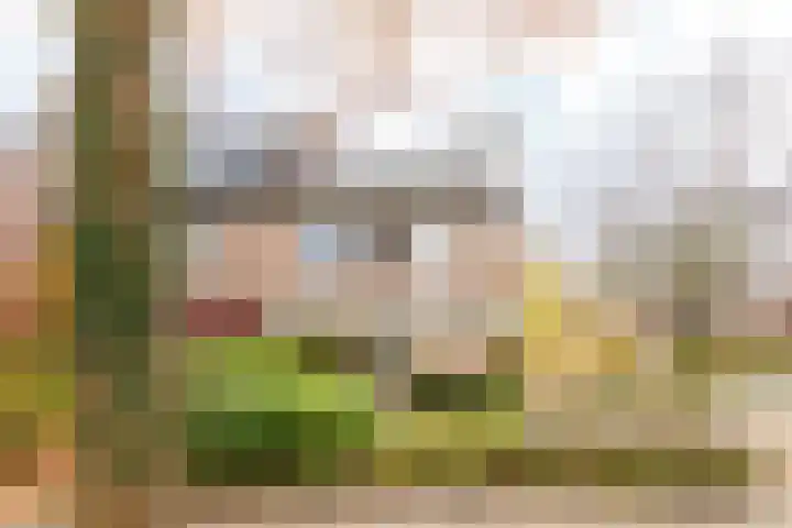 Hutdijk 7 Waalre thumbnail 36