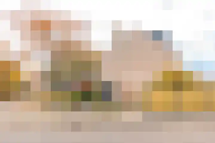 Hutdijk 7 Waalre thumbnail 37