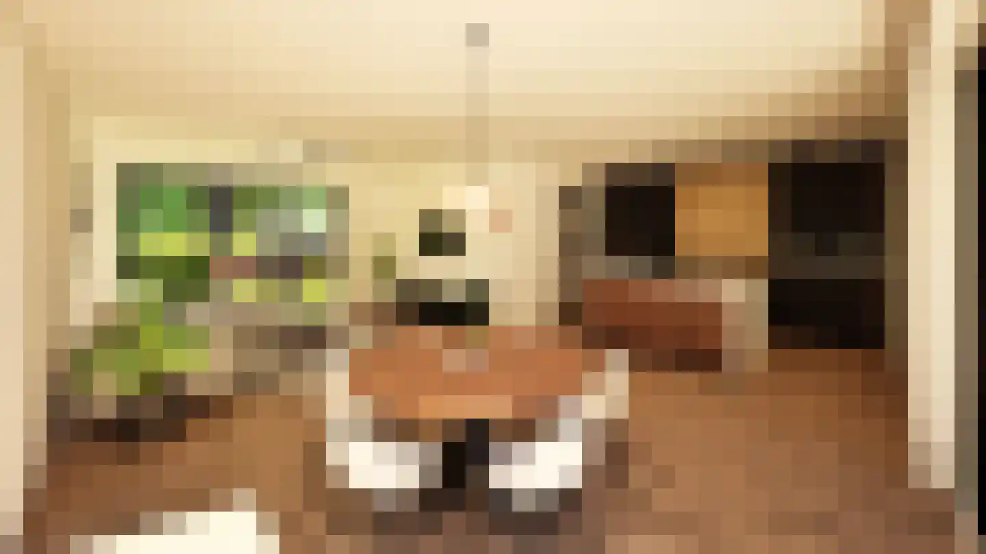 Hutkom 19 Wehl thumbnail 4