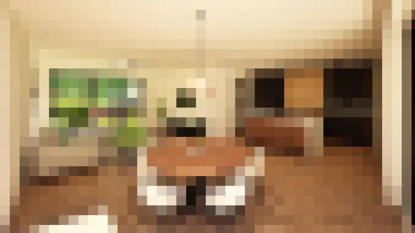 Hutkom 19 Wehl thumbnail 5